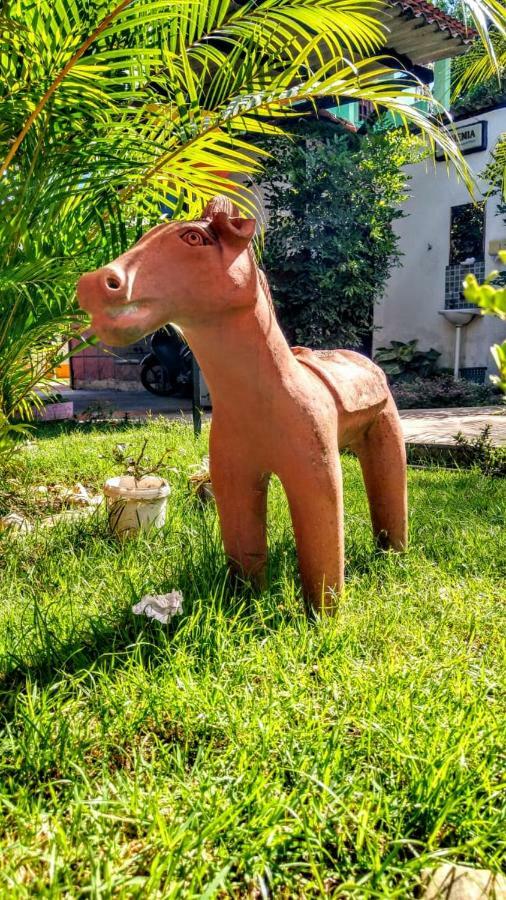 Pousada Do Gord0 Bonito  Ngoại thất bức ảnh